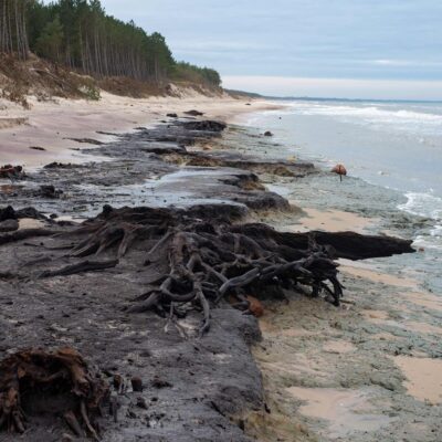 Zatopiony las w Łazach