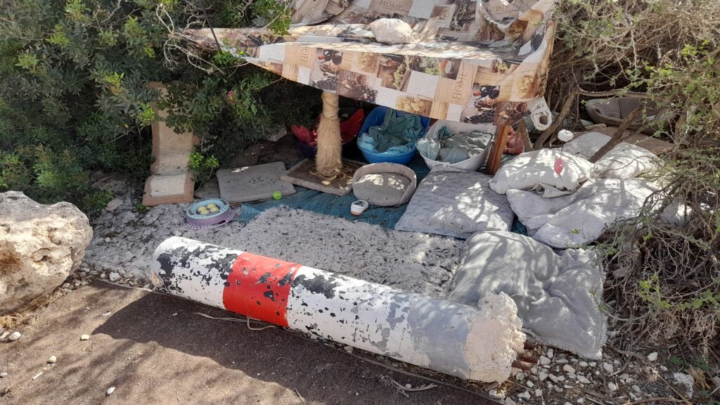 Następny lokalny zwyczaj maltański: budki dla kotów. Można je znaleźć w bardzo wielu miejscach, często w koncentracji, czasem porządne, czasem zupełnie improwizowane. Widocznie Maltańczycy lubią koty, co nie byłoby niczym dziwnym wobec faktu, że te drapieżniki przez wieki strzegły magazynów portowych przed plagą szczurów