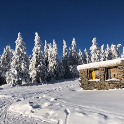 Feeria zimowych barw, Černá Hora pod czeską stroną Śnieżki. Źródło: materiały własne