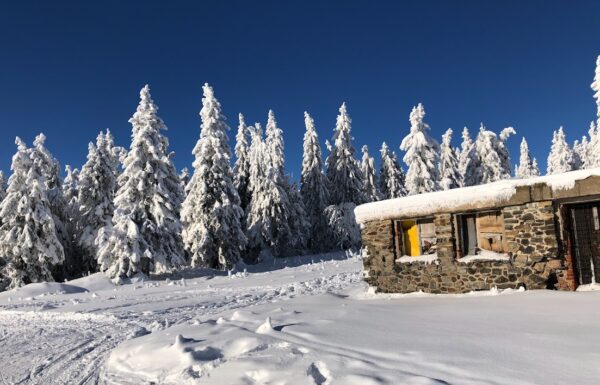 Feeria zimowych barw, Černá Hora pod czeską stroną Śnieżki. Źródło: materiały własne