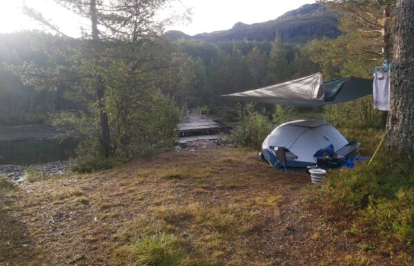 namiot rozbity na na trawie obok drzew, nad namiotem rozciągnięty tarp