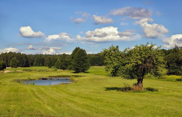 Podlasie to piękna okolica. Warto skorzystać z bonu turystycznego by się tam wybrać
