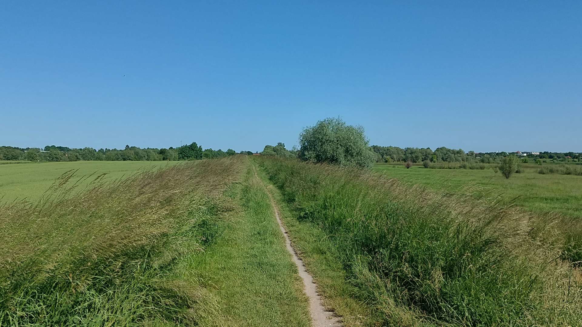 wąska ścieżka na wale wiślanym - dobre miejsce do spokojnej jazdy na rowerze
