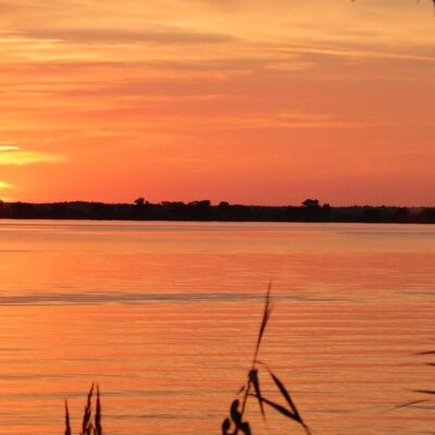 Park Narodowy Doliny Dolnej Odry to malownicze miejsce