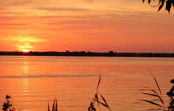 Park Narodowy Doliny Dolnej Odry to malownicze miejsce