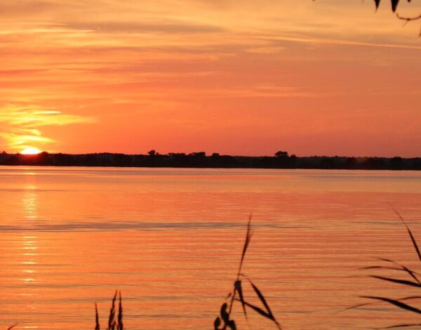 Park Narodowy Doliny Dolnej Odry to malownicze miejsce