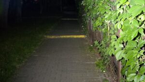 Streamlight Wedge XT