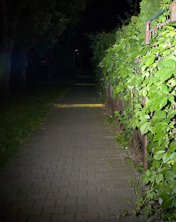 Streamlight Wedge XT