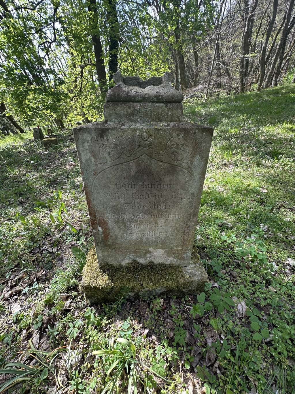 ewangelicki nagrobek w Drawieńskim Parku Narodowym