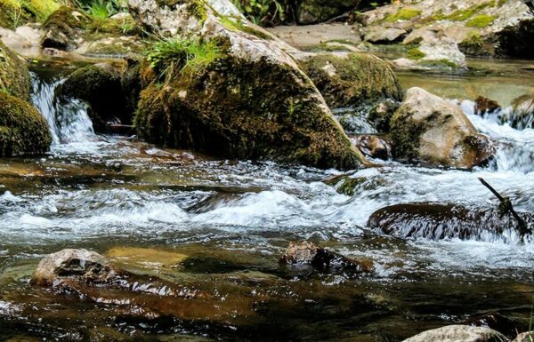 W takim potoku można znaleźć realgar
