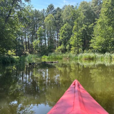 Rzeka Pliszka, spływ kajakiem, zdjęcie z perspektywy osoby siedzącej w różowym kajaku