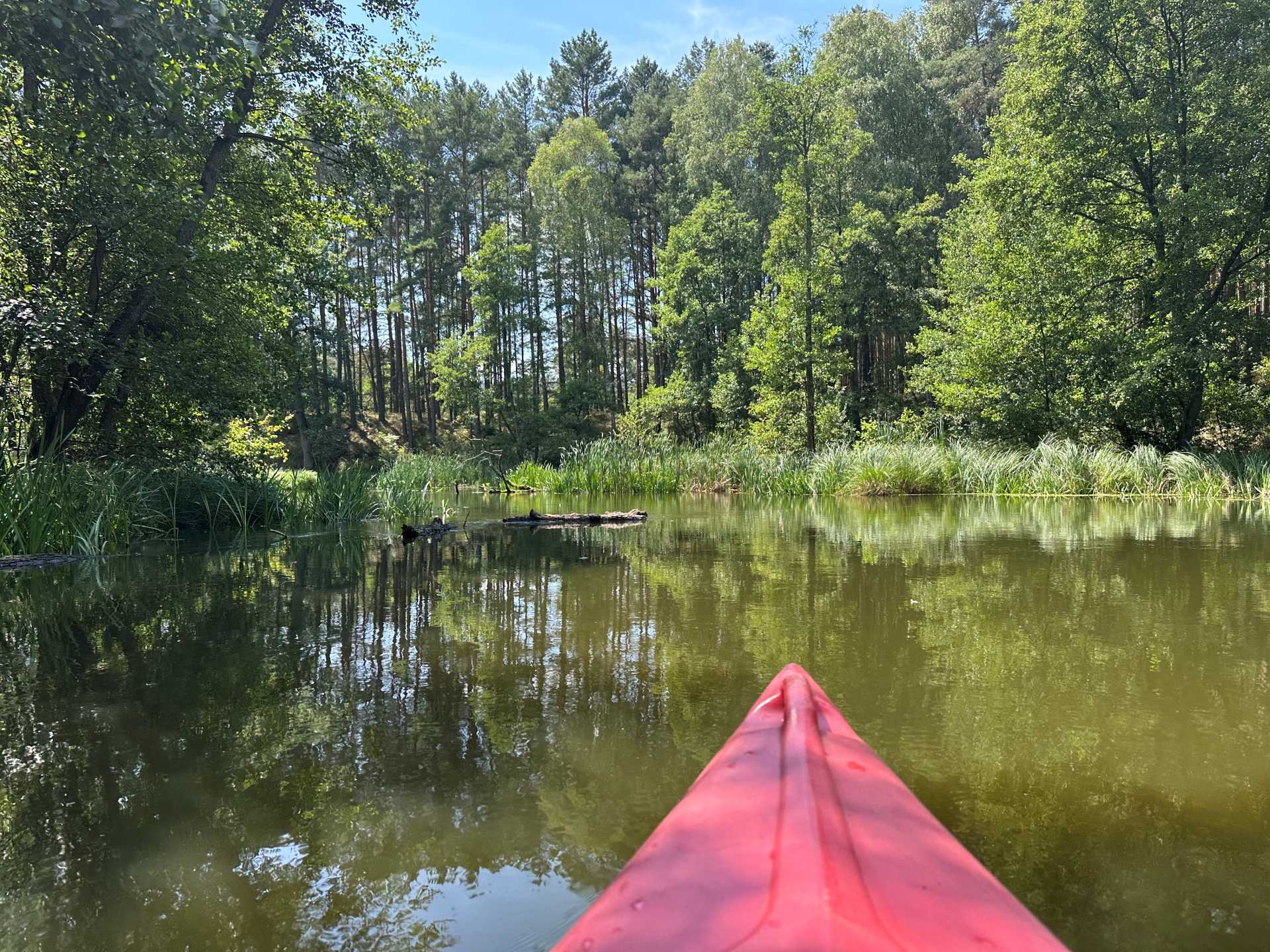 Rzeka Pliszka, spływ kajakiem, zdjęcie z perspektywy osoby siedzącej w różowym kajaku