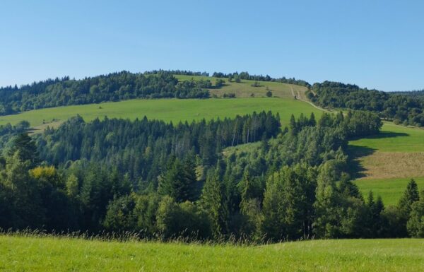 Kykula - tu zostanie zrealizowany projekt wieży widokowej na Trojaku