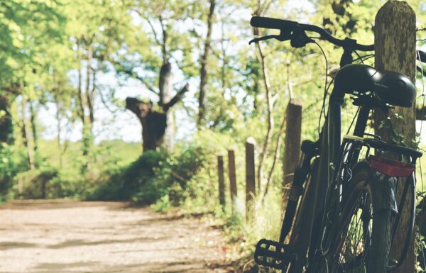 rower na trasie - widok prawie jak z VeloSkawa