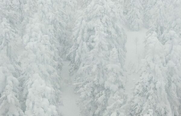 Tatrzański Park Narodowy zamknięty