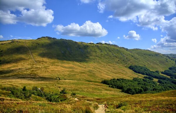 Bieszczady to tam znajduje się ścieżka przyrodnicza w Tarnawie Wyżnej