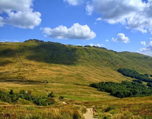 Bieszczady to tam znajduje się ścieżka przyrodnicza w Tarnawie Wyżnej