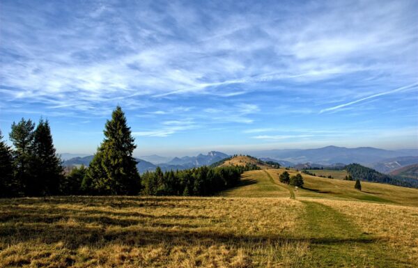Piękna trasa - jedna z wielu które można zobaczyć podczas Pieniny Ultra-Trail 2026