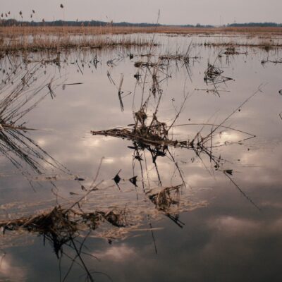 Pisa-Narew i jej bagniste widoki
