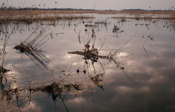Pisa-Narew i jej bagniste widoki