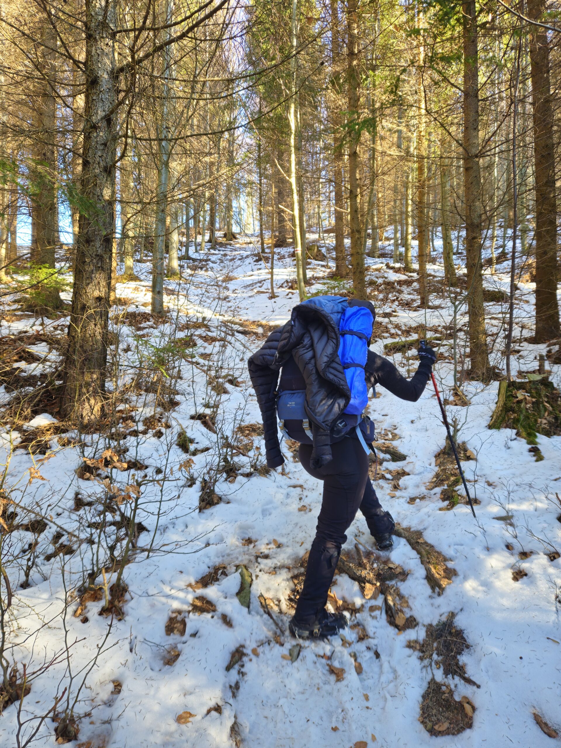 Buduję formę na szczyt!