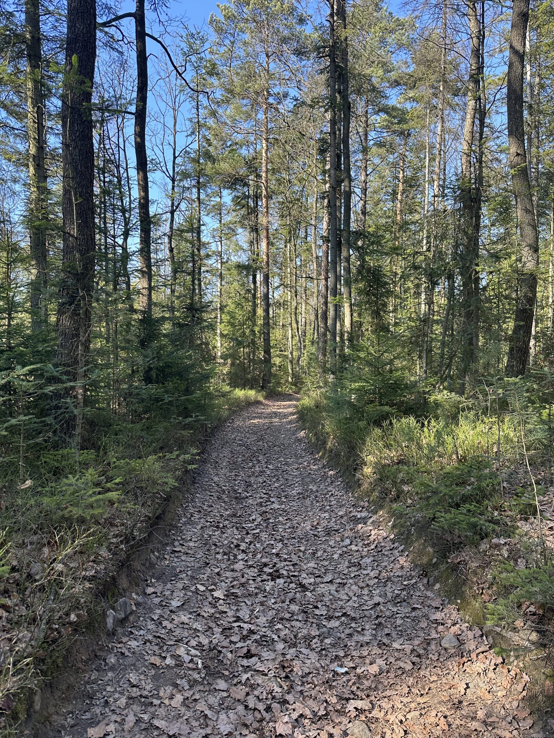 W poszukiwaniu wiosny