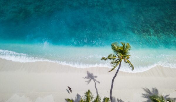 Plaża z palmą - tu często przydałaby sie Turystyka regeneratywna