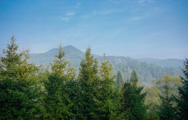Bieszczady