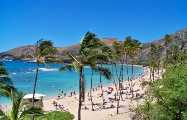 Hawaje - to tu jest Ni'ihau