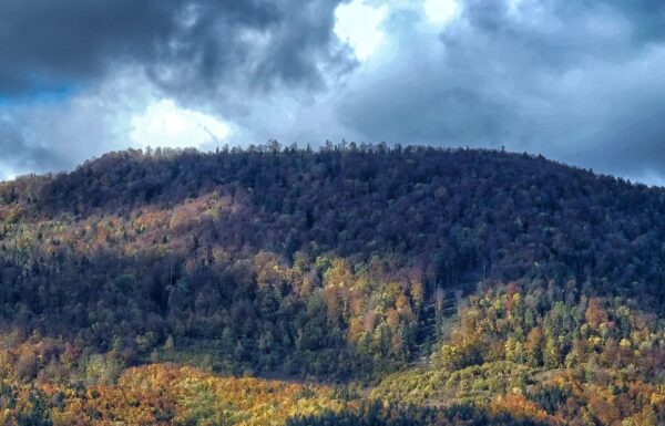 Zamczysko to podobne wzgórze jak to