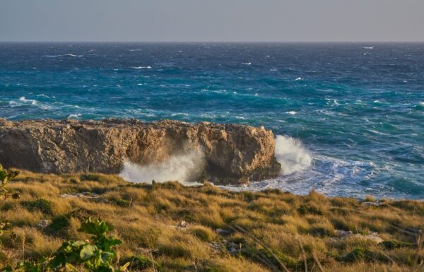 Ċirkewwa